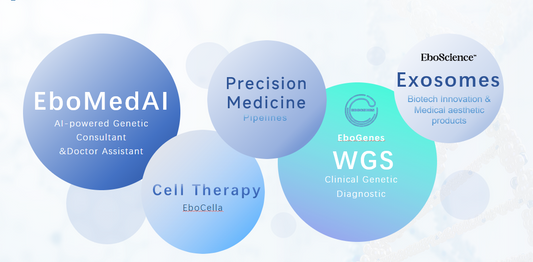 The Ebovir Scientific Team