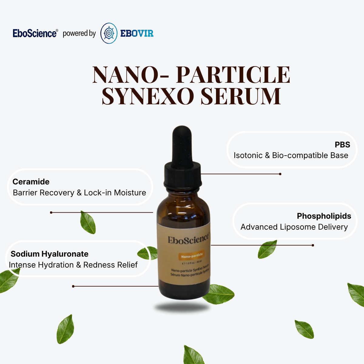EboScience Anti-Aging Nano-particle SynExo Serum